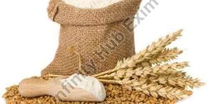 Wheat Flour