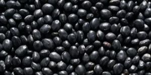 Black Turtle Kidney Beans