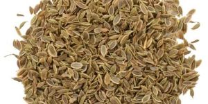 Dill Seeds