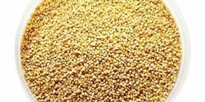 Foxtail Millet