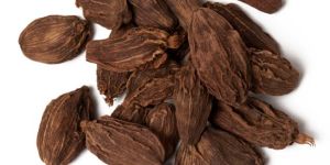 Fresh Black Cardamom