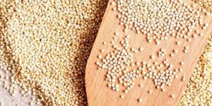 Quinoa Seeds