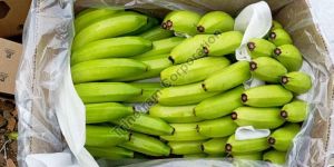 7 Kg Fresh Cavendish Banana