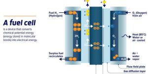 Hydrogen Fuel Cells