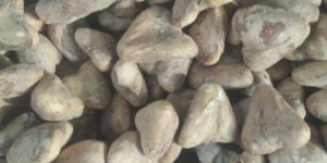 Water Chestnut (Dry Kadma Singhara)