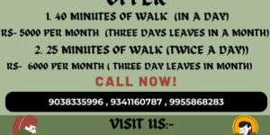 Dog Grooming Service