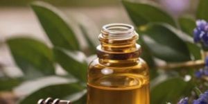 Lavender Oil