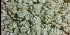 Walnuts