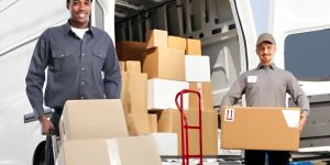 Loading Unloading Services