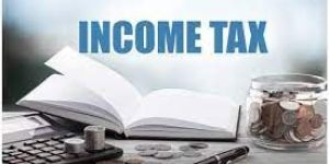 Income Tax Consultants