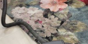 Carpet Cleaning Services