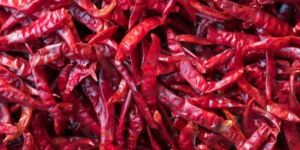Dry Red Chilli