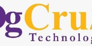 web development e-commerce services