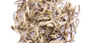 White Tea Leaves