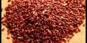 Mappillai Samba Rice