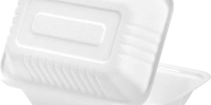 6 Inch Bagasse Clamshell Box