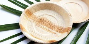 Areca Leaf Plate