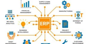 ERP Software