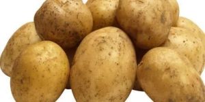 Fresh Pukhraj Potato