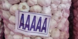 Aaaaa Bom Fresh Garlic