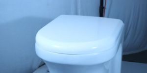 Floor Mounted Toilets