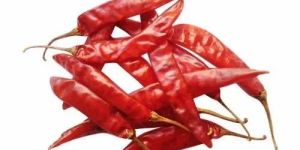 Raw Red Chilli