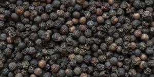 a Grade Black Pepper Seeds
