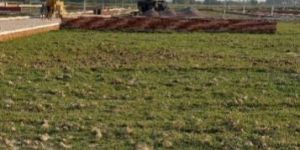 Property Development Service