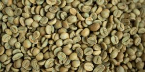 Robusta Coffee Beans