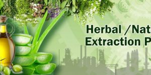 PLANT EXTRACT