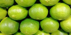 Fresh Lemon