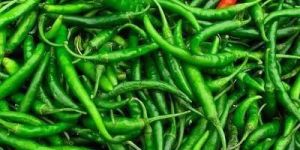 Fresh Green Chilli