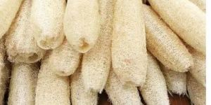Natural Loofah Sponges