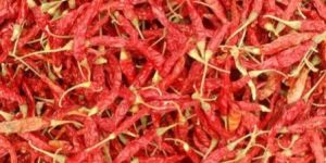 Teja Red Chilli