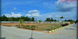Residential Plots
