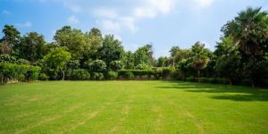 Lawn Maintenance Services
