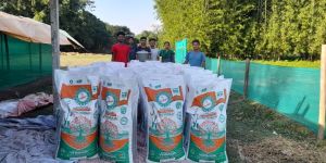 Tricoderma Enrich Vermicompost