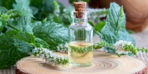 Peppermint Oil