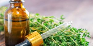 Thyme Oil