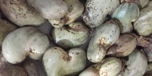 Raw Cashew Nuts