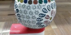 Electric Kapoor Dani