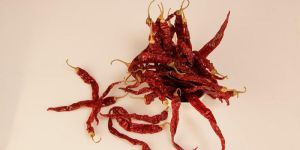Red Chilli