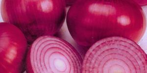 Red Onion