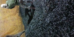 Angoor Pipe LDPE Scrap