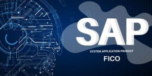 sap-finance controlling service