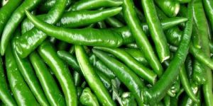 Green Chilli