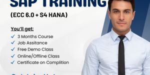 Sap Course