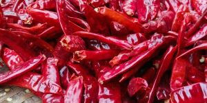 Dry Red Chilli