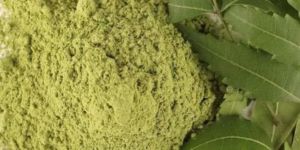 Organic Bites Neem Leaf Powder (Neem Patta Powder)