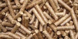 Biomass Pellet